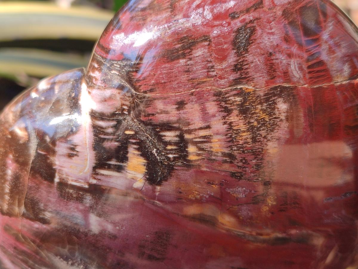 Polished Large Red Podocarpus Petrified Wood Hearts x 2 From Mahajanga, Madagascar - Toprock Gemstones and Minerals 