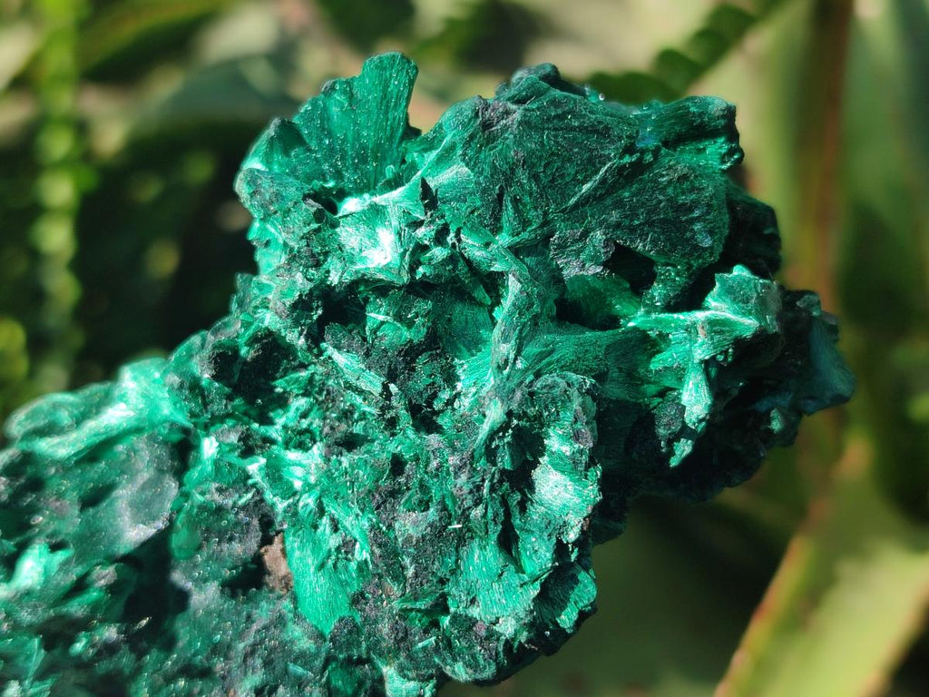 Natural Silky Malachite Specimens x 6 From Kasompe, Congo - Toprock Gemstones and Minerals 