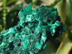 Natural Silky Malachite Specimens x 6 From Kasompe, Congo - Toprock Gemstones and Minerals 