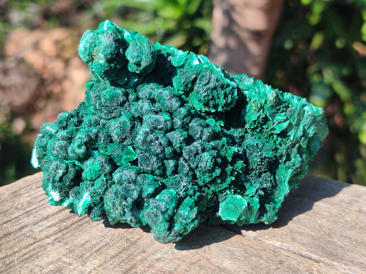 Natural Silky Malachite Specimens x 6 From Kasompe, Congo - Toprock Gemstones and Minerals 
