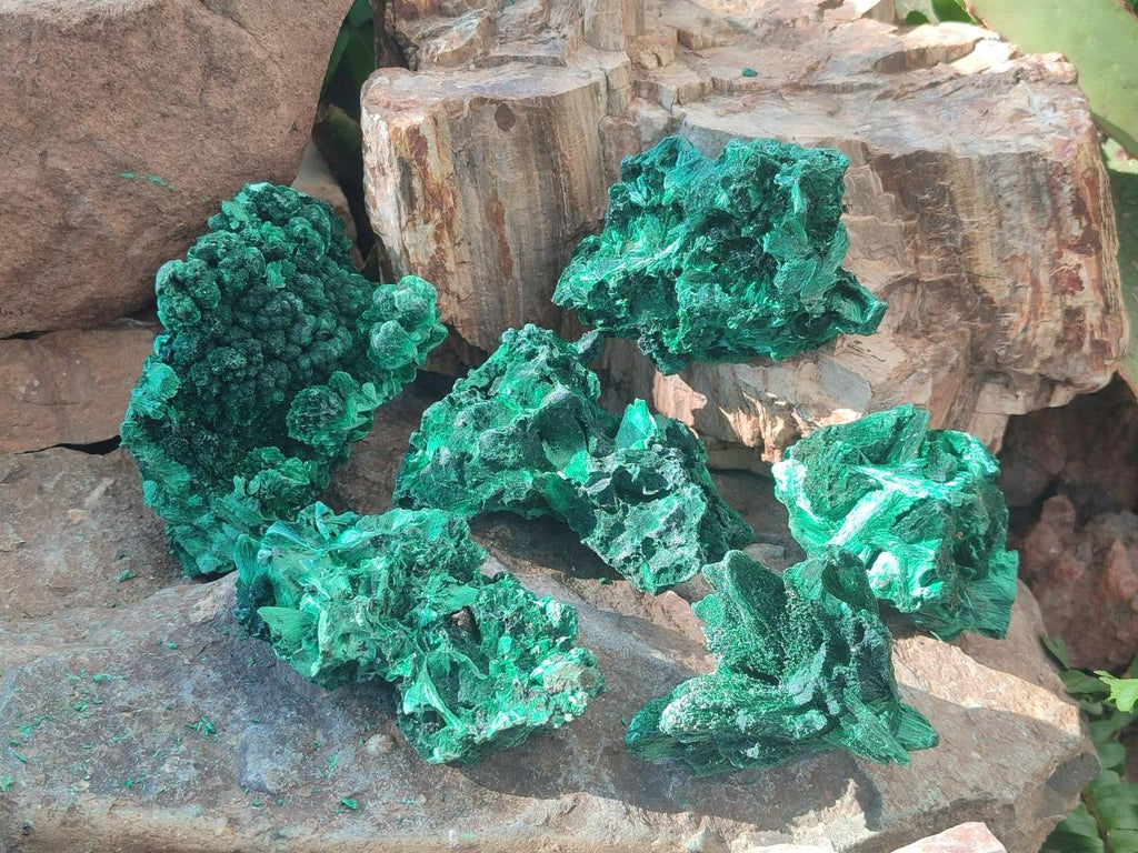 Natural Silky Malachite Specimens x 6 From Kasompe, Congo - Toprock Gemstones and Minerals 