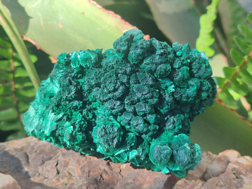 Natural Silky Malachite Specimens x 6 From Kasompe, Congo - Toprock Gemstones and Minerals 