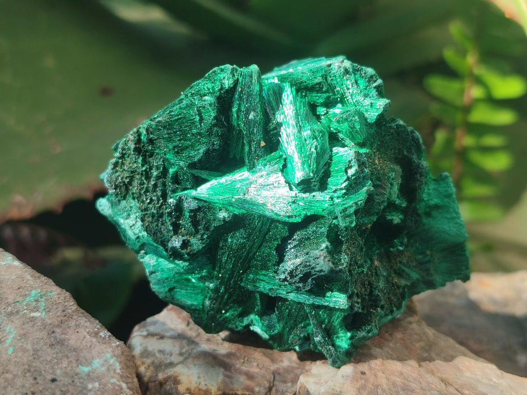 Natural Silky Malachite Specimens x 6 From Kasompe, Congo - Toprock Gemstones and Minerals 