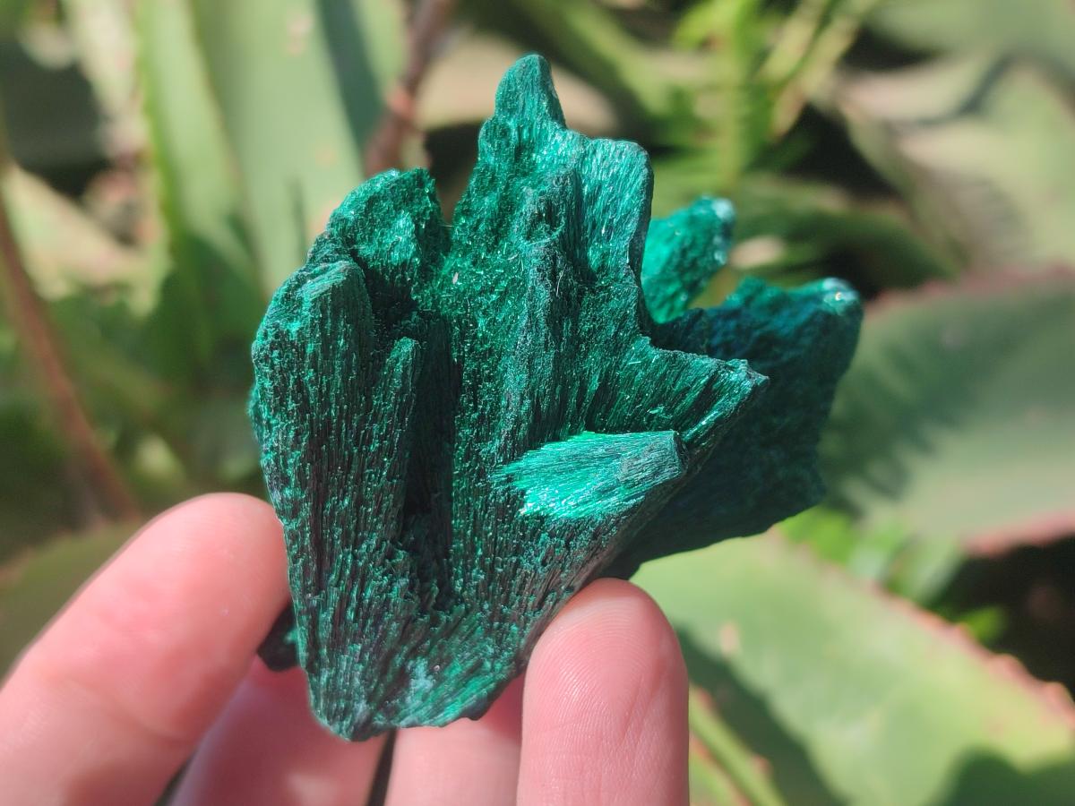 Natural Silky Malachite Specimens x 6 From Kasompe, Congo - Toprock Gemstones and Minerals 