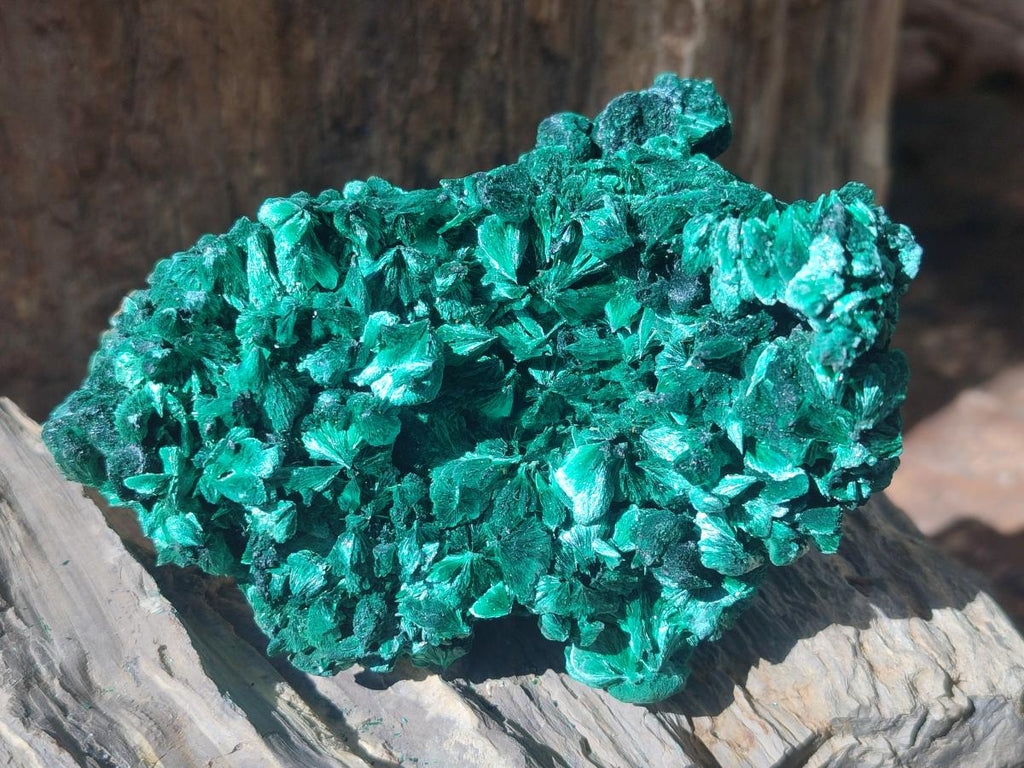 Natural Silky Malachite Specimens x 6 From Kasompe, Congo - Toprock Gemstones and Minerals 