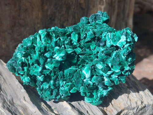 Natural Silky Malachite Specimens x 6 From Kasompe, Congo - Toprock Gemstones and Minerals 