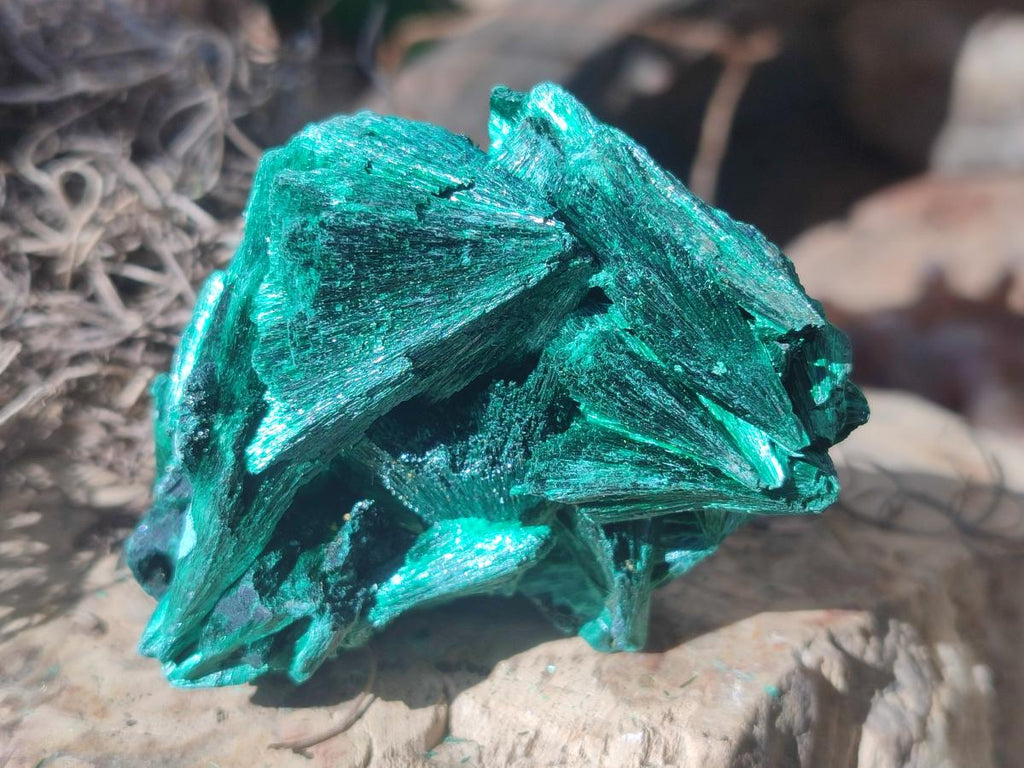 Natural Silky Malachite Specimens x 6 From Kasompe, Congo - Toprock Gemstones and Minerals 