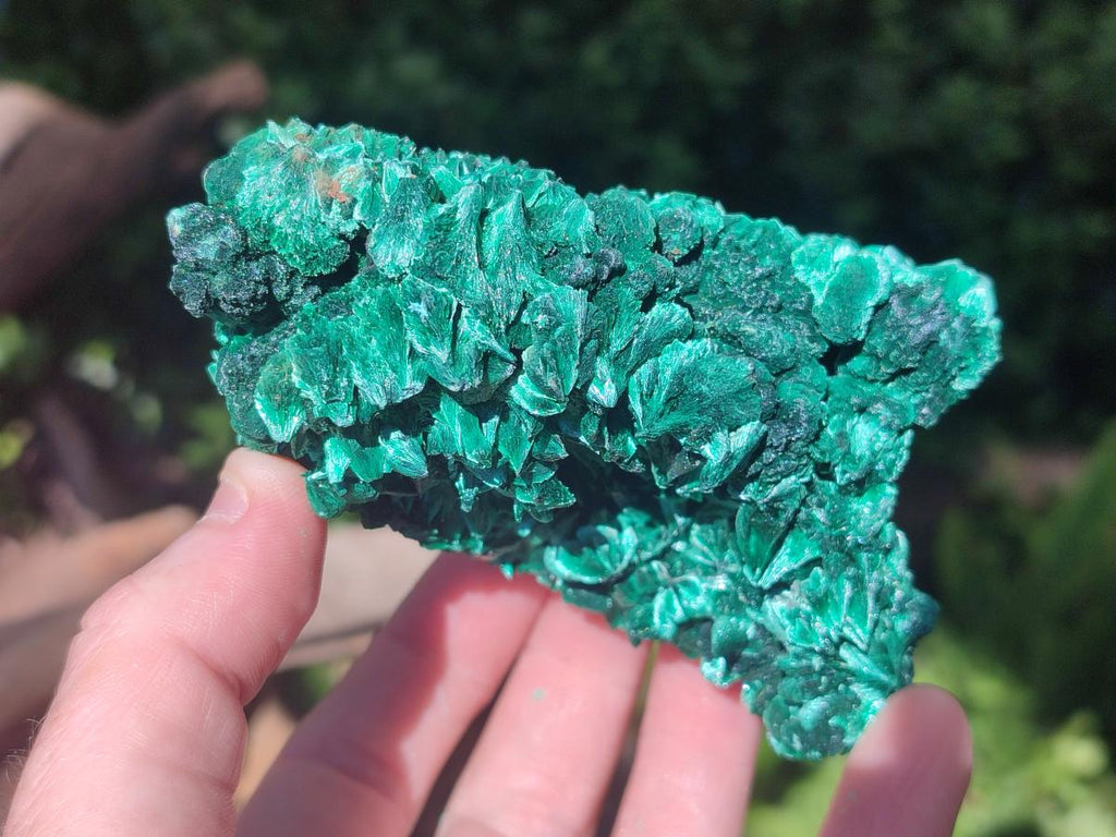 Natural Silky Malachite Specimens x 6 From Kasompe, Congo - Toprock Gemstones and Minerals 