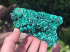 Natural Silky Malachite Specimens x 6 From Kasompe, Congo - Toprock Gemstones and Minerals 