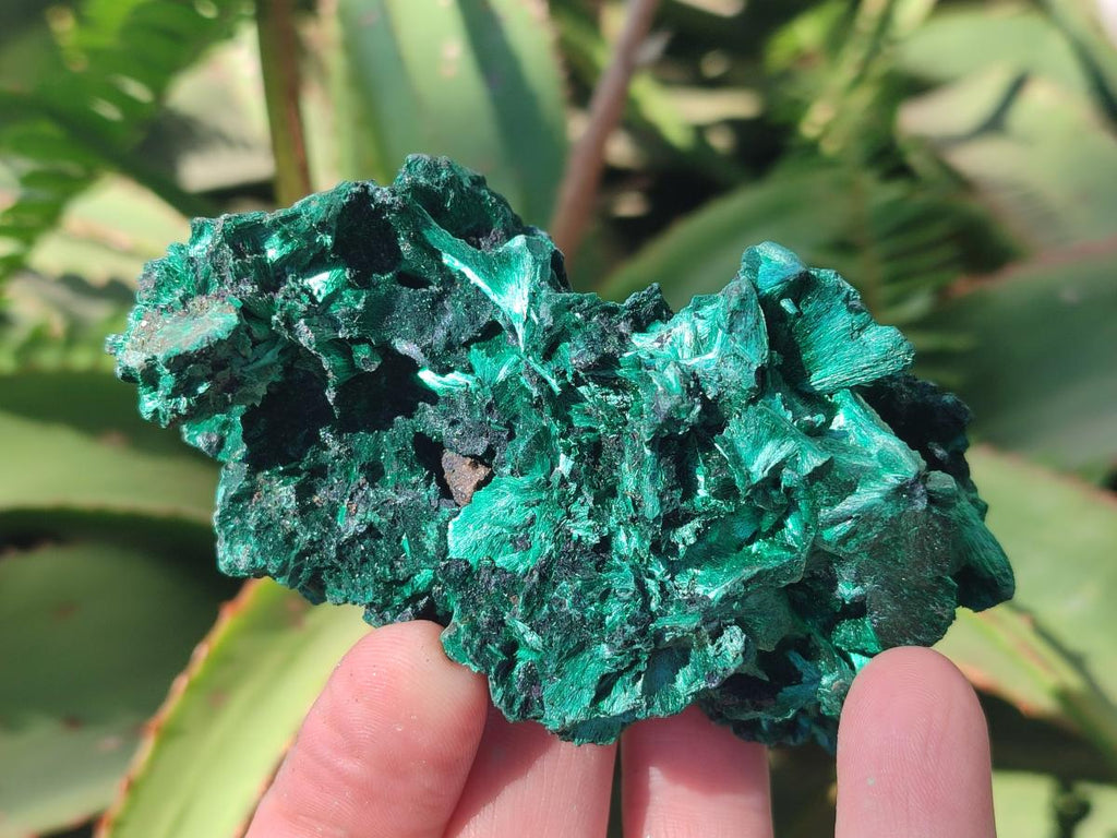 Natural Silky Malachite Specimens x 6 From Kasompe, Congo - Toprock Gemstones and Minerals 