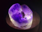 Polished Window Amethyst Crystals x 12 From Akansobe, Madagascar - Toprock Gemstones and Minerals 