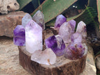 Polished Window Amethyst Crystals x 12 From Akansobe, Madagascar - Toprock Gemstones and Minerals 