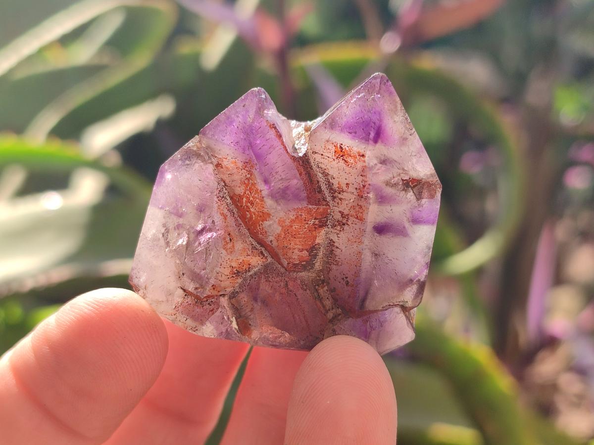 Polished Window Amethyst Crystals x 12 From Akansobe, Madagascar - Toprock Gemstones and Minerals 