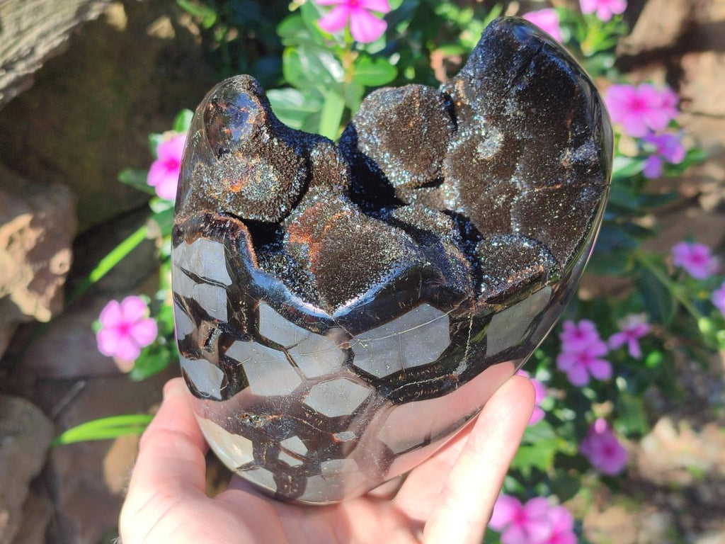 Polished and Natural Large Septerye Sauvage "Dragons Egg" Standing Display Piece x 1 From Mahajanga, Madagascar - Toprock Gemstones and Minerals 