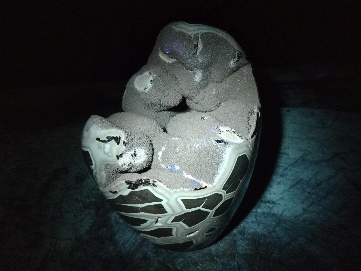 Polished and Natural Large Septerye Sauvage "Dragons Egg" Standing Display Piece x 1 From Mahajanga, Madagascar - Toprock Gemstones and Minerals 