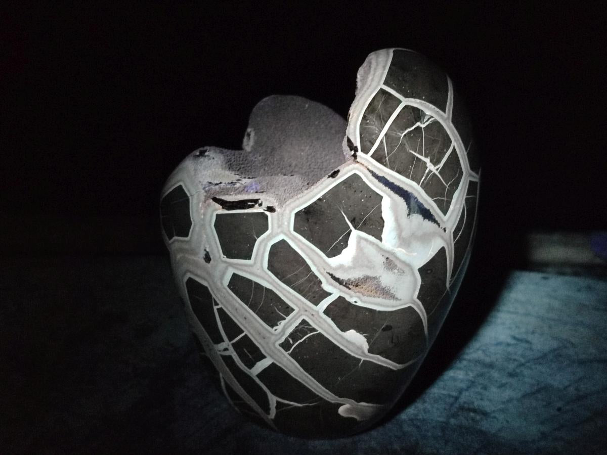 Polished and Natural Large Septerye Sauvage "Dragons Egg" Standing Display Piece x 1 From Mahajanga, Madagascar - Toprock Gemstones and Minerals 