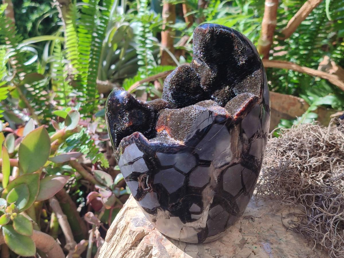 Polished and Natural Large Septerye Sauvage "Dragons Egg" Standing Display Piece x 1 From Mahajanga, Madagascar - Toprock Gemstones and Minerals 