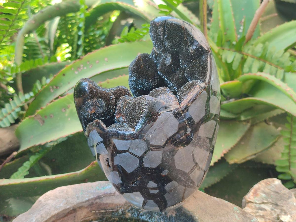 Polished and Natural Large Septerye Sauvage "Dragons Egg" Standing Display Piece x 1 From Mahajanga, Madagascar - Toprock Gemstones and Minerals 