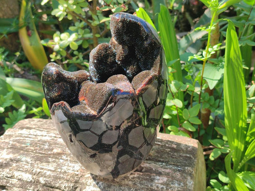 Polished and Natural Large Septerye Sauvage "Dragons Egg" Standing Display Piece x 1 From Mahajanga, Madagascar - Toprock Gemstones and Minerals 