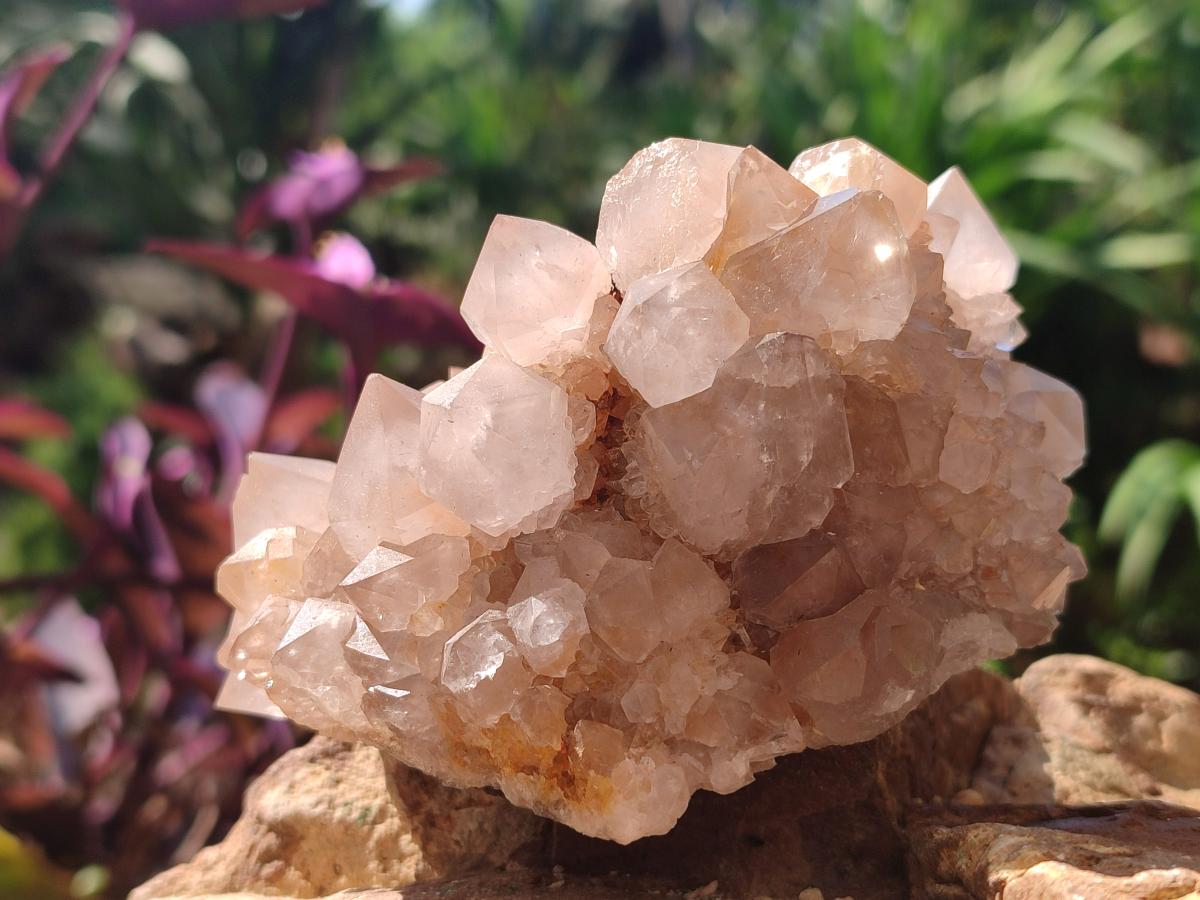 Natural Spirit Quartz Clusters x 4 From Boekenhouthoek, South Africa - Toprock Gemstones and Minerals 