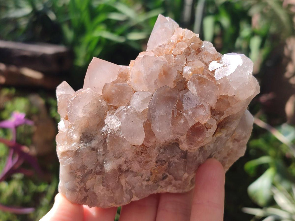 Natural Spirit Quartz Clusters x 4 From Boekenhouthoek, South Africa - Toprock Gemstones and Minerals 