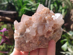 Natural Spirit Quartz Clusters x 4 From Boekenhouthoek, South Africa - Toprock Gemstones and Minerals 