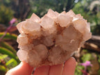 Natural Spirit Quartz Clusters x 4 From Boekenhouthoek, South Africa - Toprock Gemstones and Minerals 