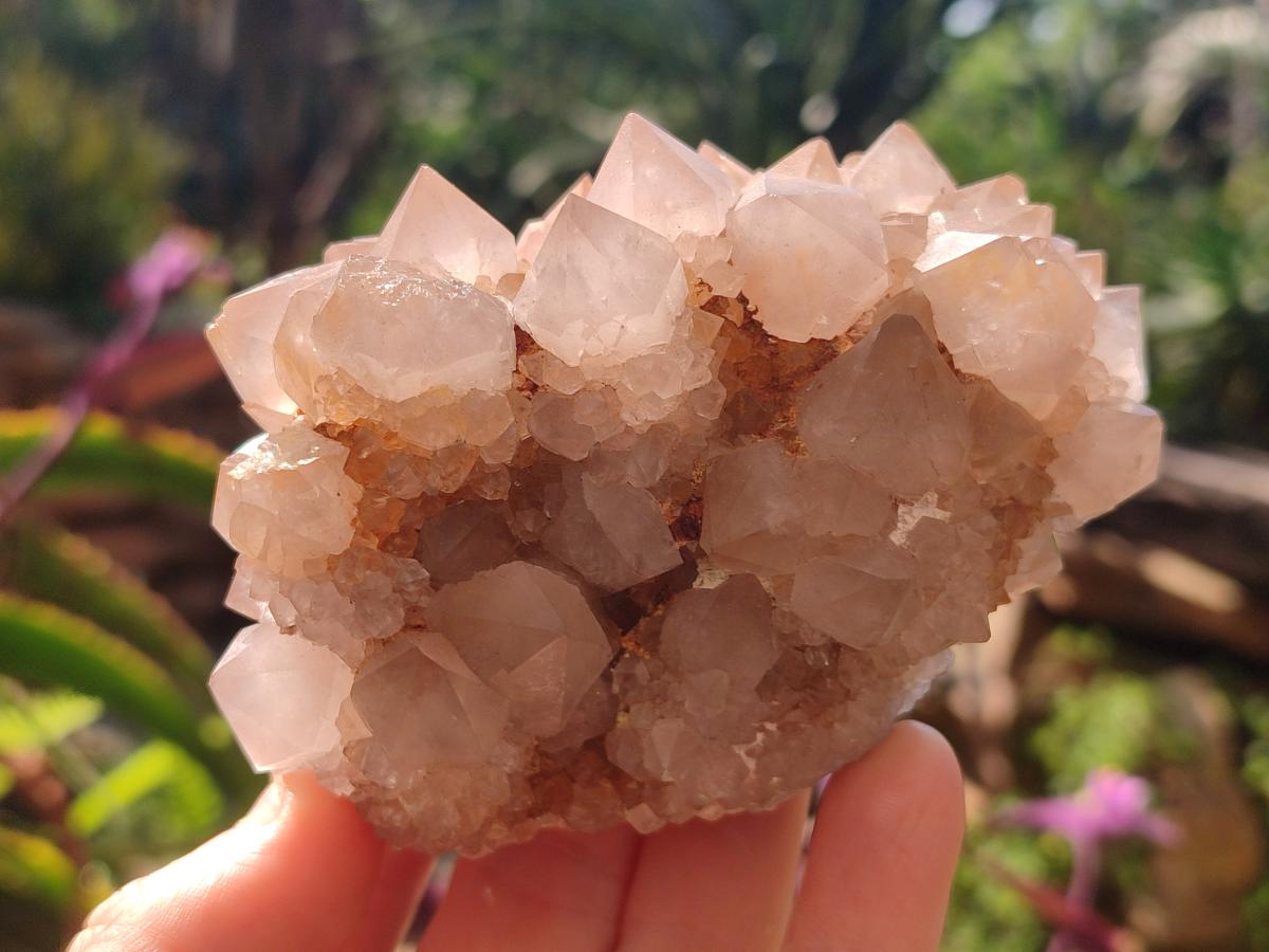 Natural Spirit Quartz Clusters x 4 From Boekenhouthoek, South Africa - Toprock Gemstones and Minerals 