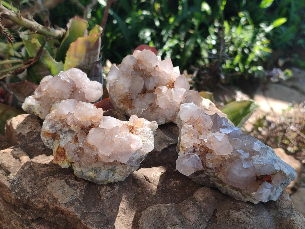 Natural Spirit Quartz Clusters x 4 From Boekenhouthoek, South Africa - Toprock Gemstones and Minerals 