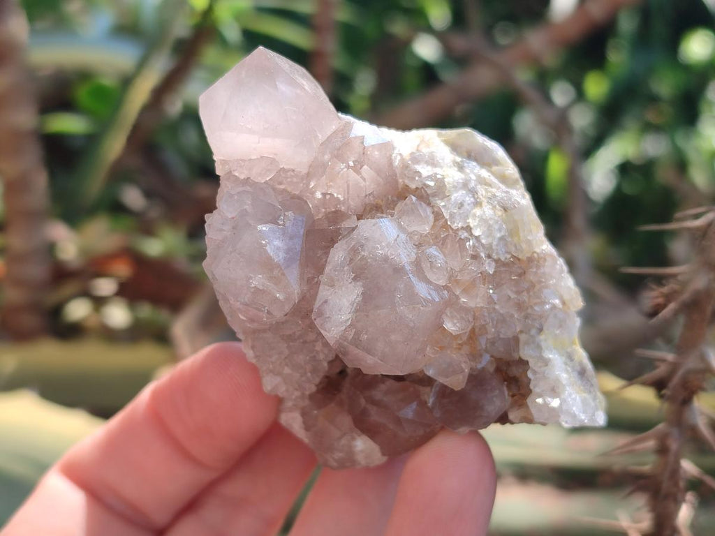Natural Spirit Quartz Clusters x 4 From Boekenhouthoek, South Africa - Toprock Gemstones and Minerals 
