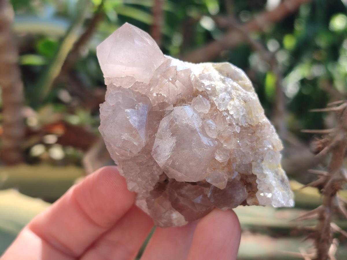 Natural Spirit Quartz Clusters x 4 From Boekenhouthoek, South Africa - Toprock Gemstones and Minerals 