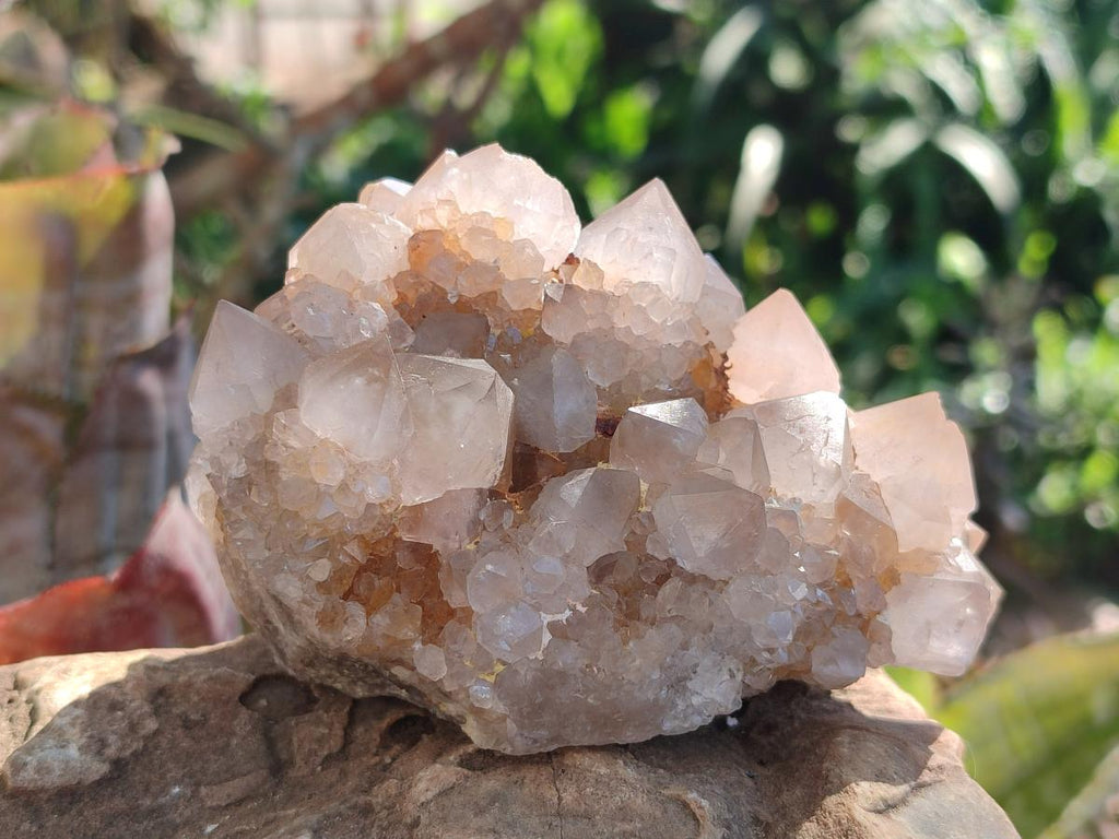 Natural Spirit Quartz Clusters x 4 From Boekenhouthoek, South Africa - Toprock Gemstones and Minerals 