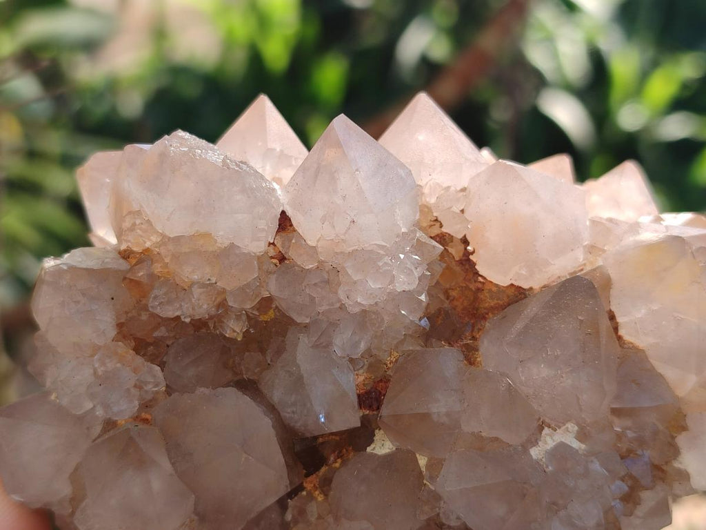 Natural Spirit Quartz Clusters x 4 From Boekenhouthoek, South Africa - Toprock Gemstones and Minerals 