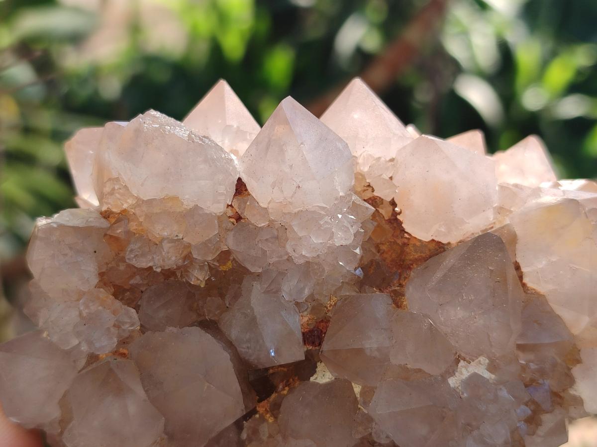 Natural Spirit Quartz Clusters x 4 From Boekenhouthoek, South Africa - Toprock Gemstones and Minerals 