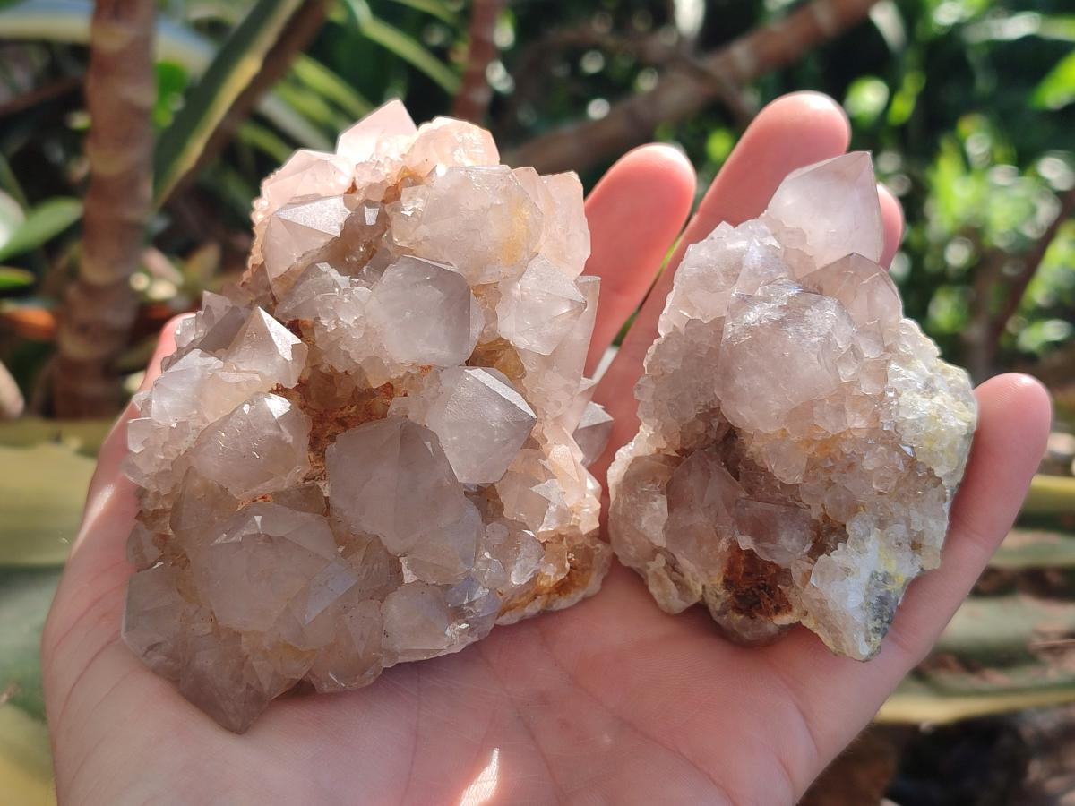 Natural Spirit Quartz Clusters x 4 From Boekenhouthoek, South Africa - Toprock Gemstones and Minerals 