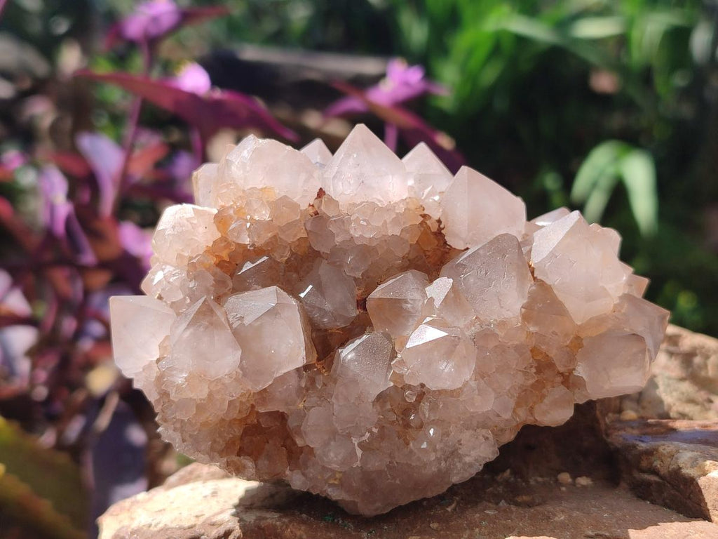 Natural Spirit Quartz Clusters x 4 From Boekenhouthoek, South Africa - Toprock Gemstones and Minerals 