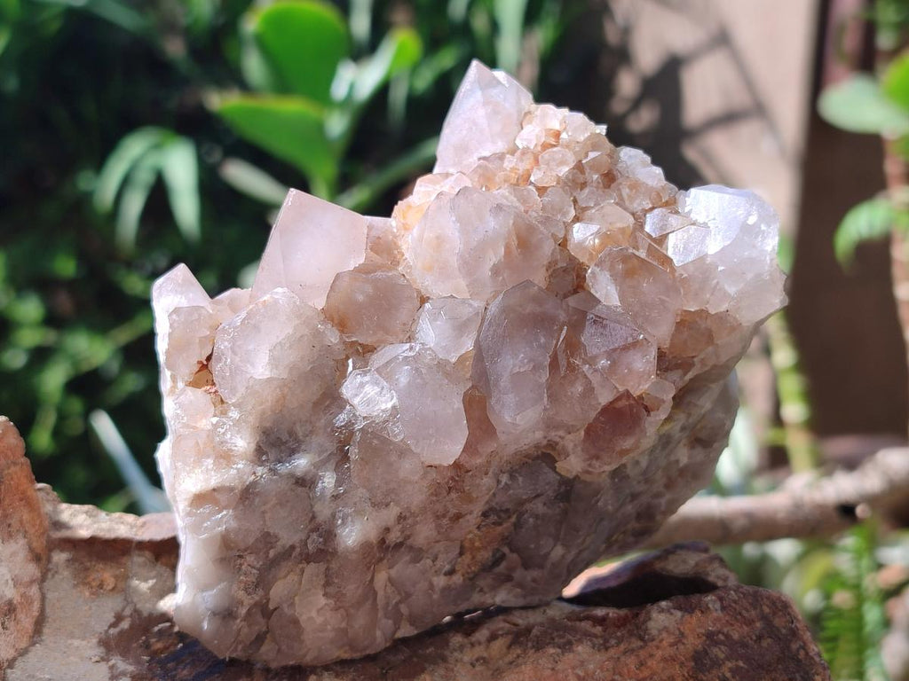 Natural Spirit Quartz Clusters x 4 From Boekenhouthoek, South Africa - Toprock Gemstones and Minerals 