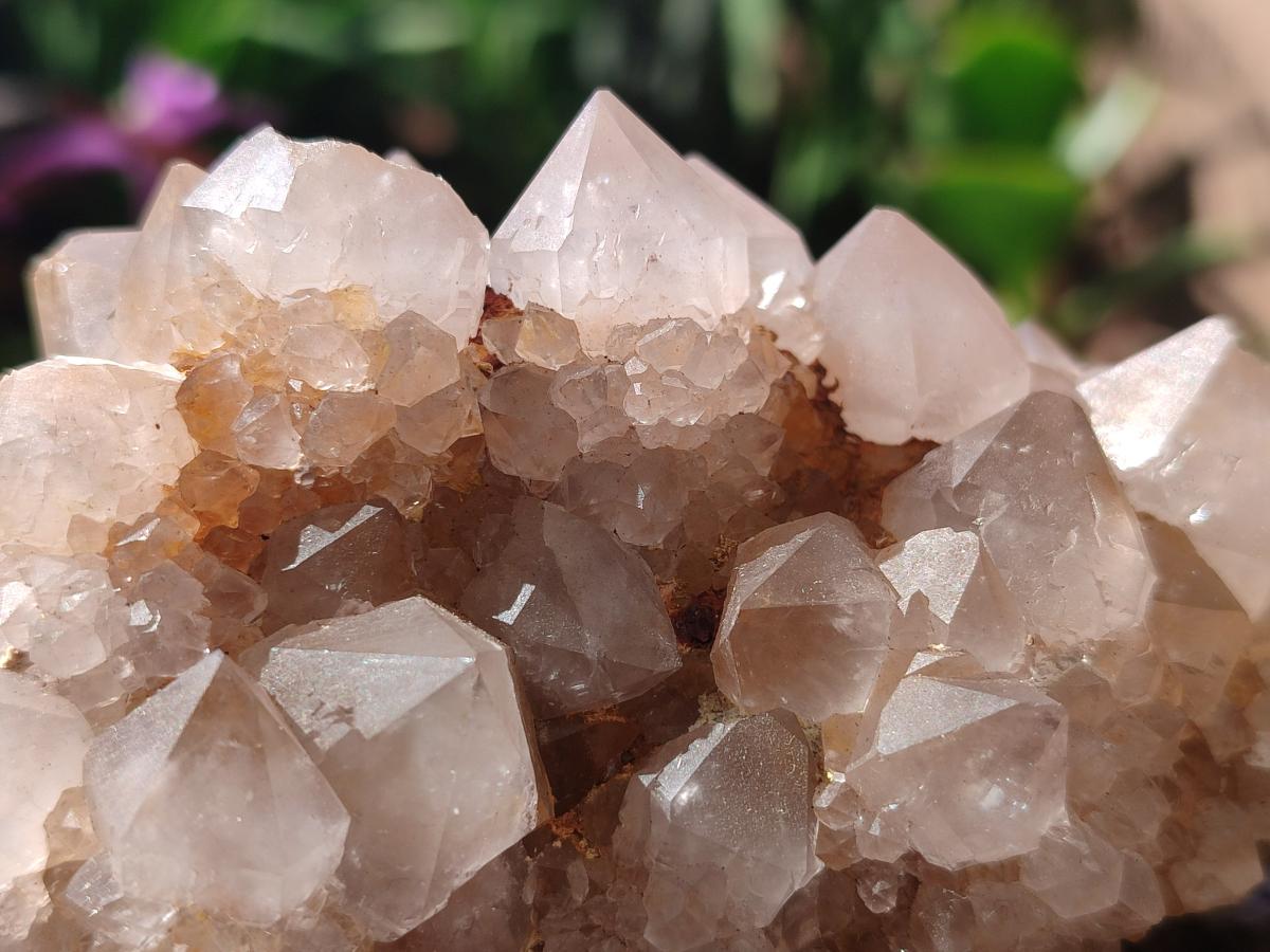 Natural Spirit Quartz Clusters x 4 From Boekenhouthoek, South Africa - Toprock Gemstones and Minerals 