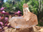 Polished Mix of Quartz Crystals with Inclusions x 6 From Madagascar - Toprock Gemstones and Minerals 