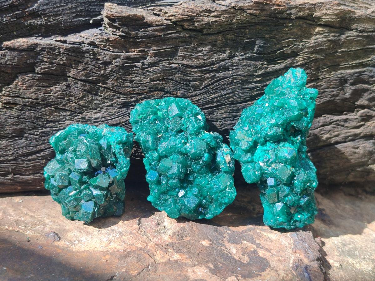 Natural Dioptase Specimens on Dolomite Matrix x 6 From Tantara Mine, Congo - Toprock Gemstones and Minerals 