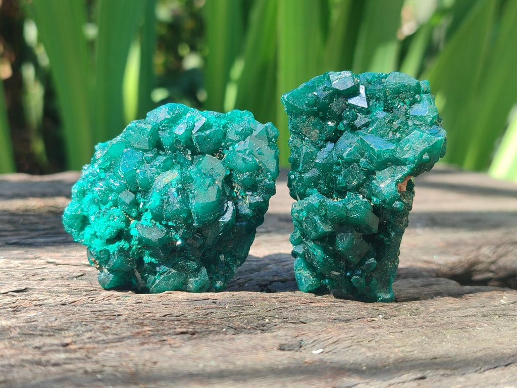 Natural Dioptase Specimens on Dolomite Matrix x 6 From Tantara Mine, Congo - Toprock Gemstones and Minerals 