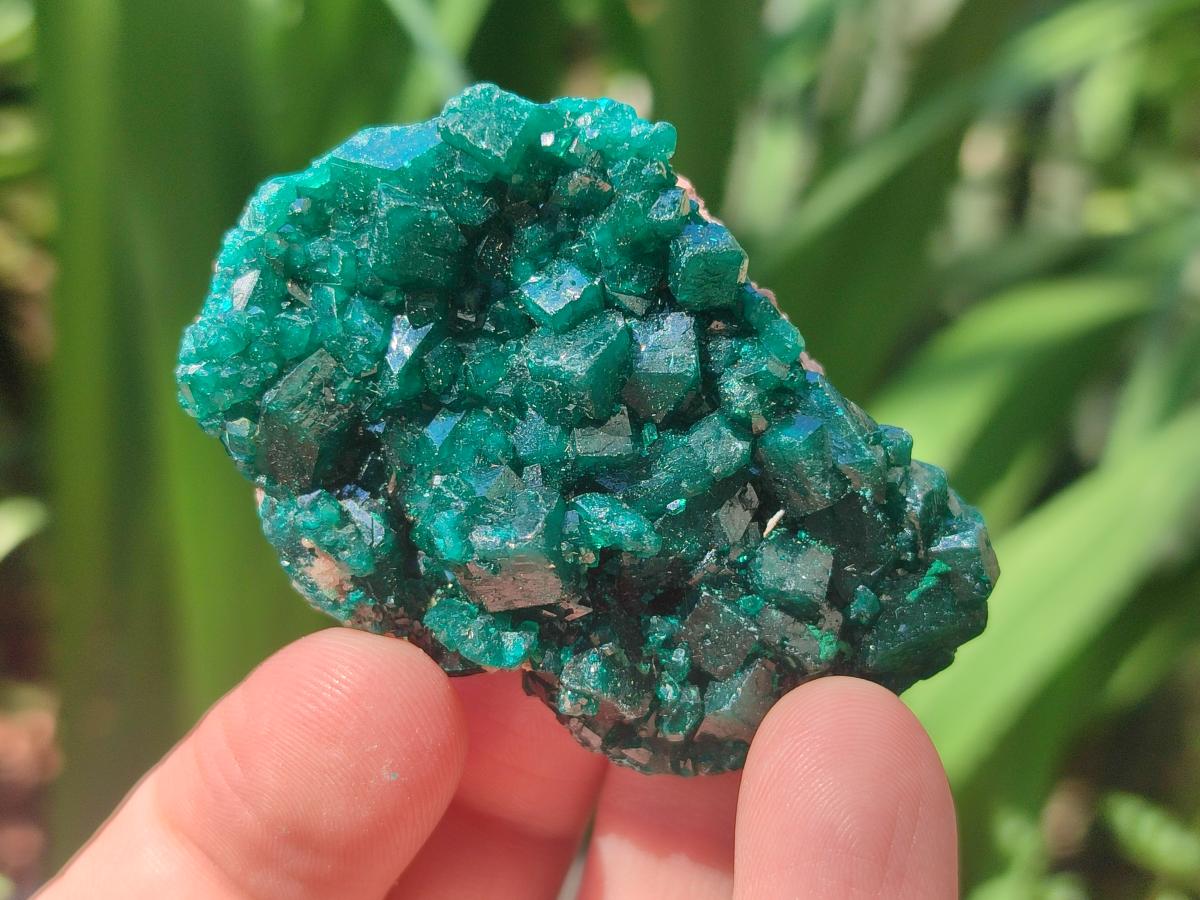 Natural Dioptase Specimens on Dolomite Matrix x 6 From Tantara Mine, Congo - Toprock Gemstones and Minerals 
