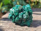 Natural Dioptase Specimens on Dolomite Matrix x 6 From Tantara Mine, Congo - Toprock Gemstones and Minerals 