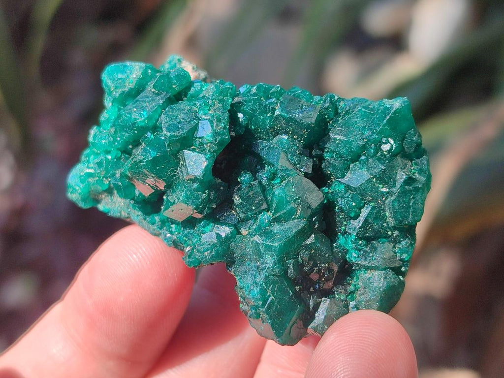 Natural Dioptase Specimens on Dolomite Matrix x 6 From Tantara Mine, Congo - Toprock Gemstones and Minerals 