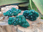 Natural Dioptase Specimens on Dolomite Matrix x 6 From Tantara Mine, Congo - Toprock Gemstones and Minerals 