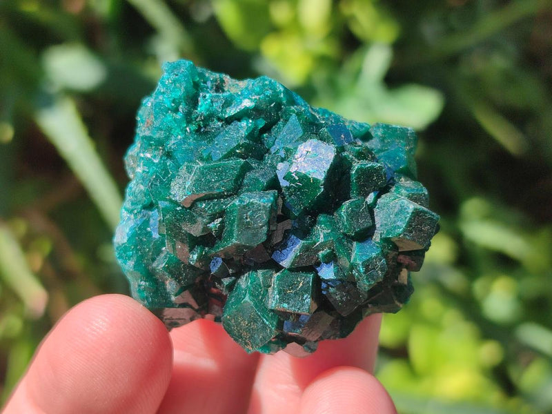 Natural Dioptase Specimens on Dolomite Matrix x 6 From Tantara Mine, Congo - Toprock Gemstones and Minerals 