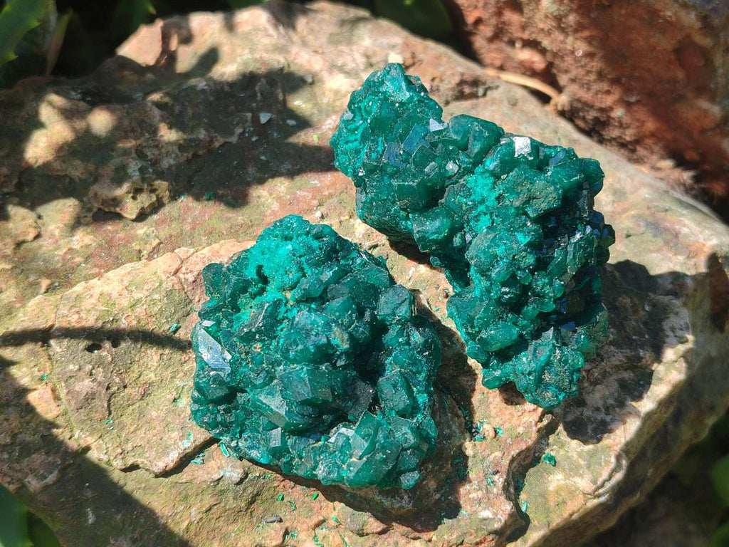 Natural Dioptase Specimens on Dolomite Matrix x 6 From Tantara Mine, Congo - Toprock Gemstones and Minerals 