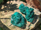 Natural Dioptase Specimens on Dolomite Matrix x 6 From Tantara Mine, Congo - Toprock Gemstones and Minerals 