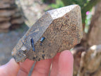Natural Mix of Smokey Quartz Crystals x 19 From Erongo, Namibia - Toprock Gemstones and Minerals 