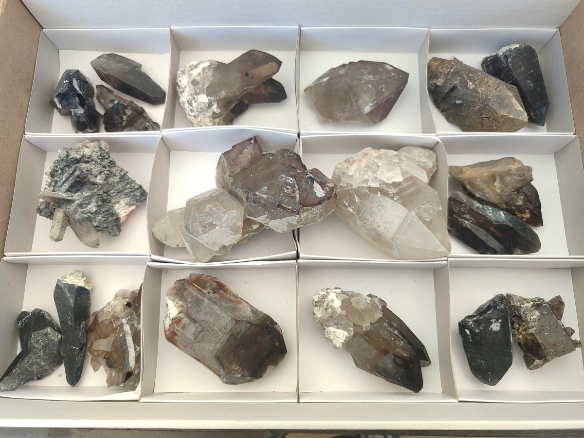 Natural Mix of Smokey Quartz Crystals x 19 From Erongo, Namibia - Toprock Gemstones and Minerals 